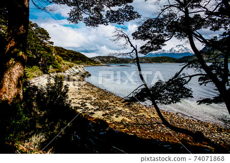 Patagonia Tierra del fuego national park Argentina Patagonia Tierra del fuego national park Argentina 74071868