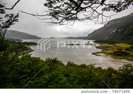 Patagonia Tierra del fuego national park Argentina 74071899