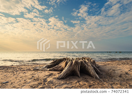 Beach on shore of the Baltic Sea in Graal Mueritz, Germany Beach on shore of the Baltic Sea in Graal Mueritz, Germany 74072341