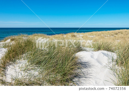 Landscape with dune on the Baltic Sea coast in Germany Landscape with dune on the Baltic Sea coast in Germany 74072356