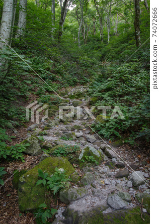 登山，烏托邦路線的景色（2020年8月） 74072666