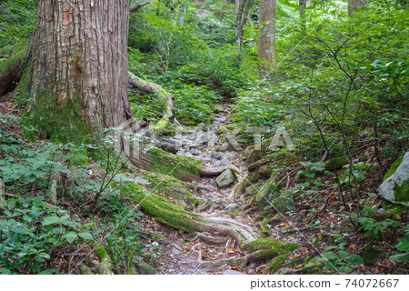 登山，烏托邦路線的景色（2020年8月） 74072667