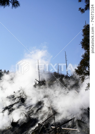 Source natural hot spring eco Source natural hot spring eco 74073184