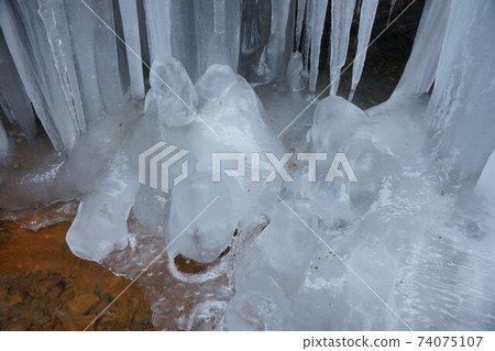 Ice bamboo shoots at Yokotani Gorge Ice bamboo shoots at Yokotani Gorge 74075107