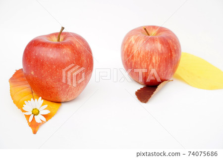 從側面取兩個蘋果 74075686