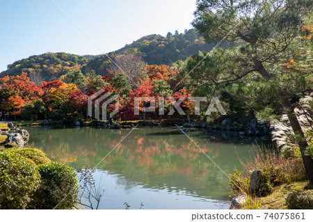 Tenryuji森根池塘花園 Tenryuji森根池塘花園 74075861
