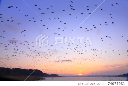 冬季泉島的航班 74075981