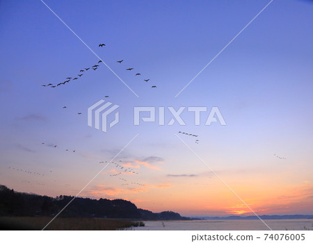 冬季泉島的航班 74076005