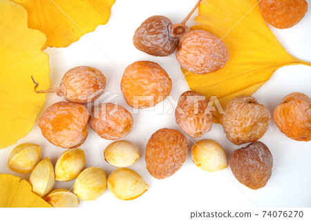 Ginkgo leaves and ginkgo berries on a white background 74076270