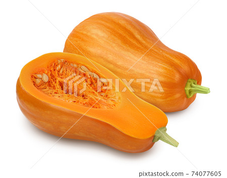 butternut squash half isolated on white background with clipping path and full depth of field 74077605