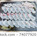 sashimi 74077920