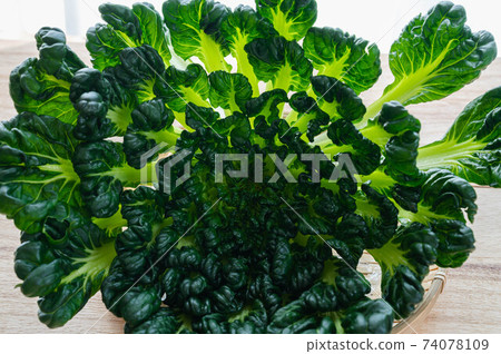 Tathai Tathai 74078109