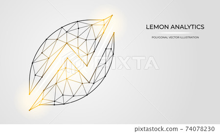 Polygonal vector illustration of Lemon analytics made of dots and lines isolated on a white background. Polygonal vector illustration of Lemon analytics made of dots and lines isolated on a white background. 74078230