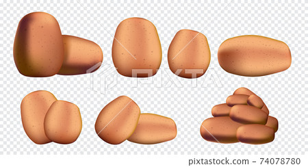 Raw potatoes set isolated on transparent background. Vector realistic 3d Potatoes collection Raw potatoes set isolated on transparent background. Vector realistic 3d Potatoes collection 74078780