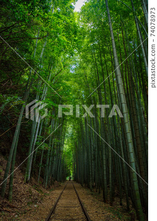 Former Japanese National Railways Kurayoshi Line Taikyuji Station Ruins-Kurayoshi Line Discontinued Bamboo Forest (August 2020) 74078973