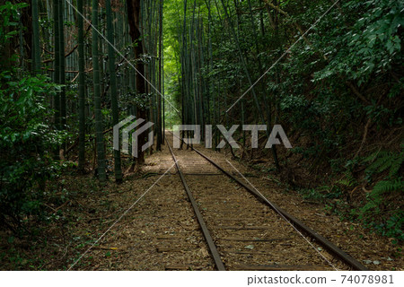前日本國鐵倉吉線太行寺站遺跡-倉吉線竹林停產(2020年8月) 前日本國鐵倉吉線太行寺站遺跡-倉吉線竹林停產(2020年8月) 74078981