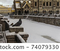 Pigeon on the Griboyedov channel in St. Petersburg in winter 74079330