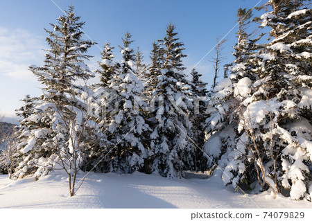 Fuyuyama Snowscape of Tokushunbetsu, Hokkaido-11 74079829