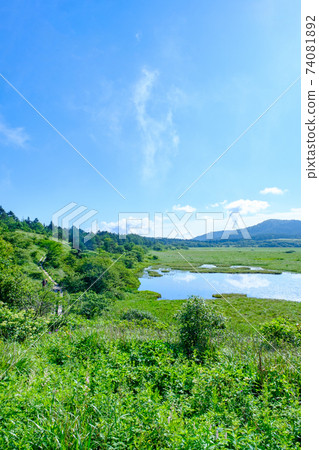 Summer Yashimagahara Wetland (Yashimagahara Wetland) Summer Yashimagahara Wetland (Yashimagahara Wetland) 74081892
