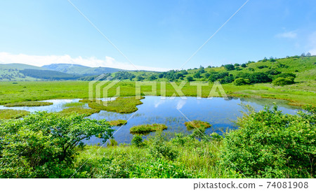 Summer Yashimagahara Wetland (Yashimagahara Wetland) Summer Yashimagahara Wetland (Yashimagahara Wetland) 74081908
