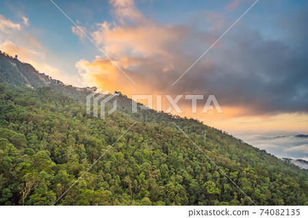 Famous tourist attraction - European city at the top of the Ba Na Hills, Vietnam 74082135
