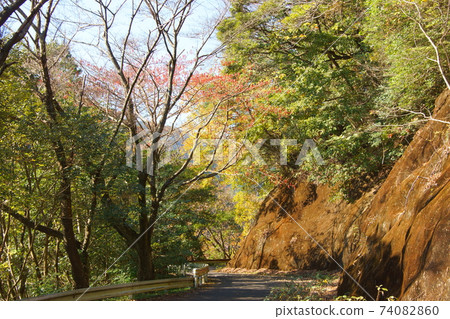 在山上的長廊 在山上的長廊 74082860