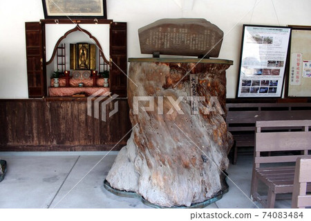 Kagakuji Temple, Oishi Nagori Pine 74083484