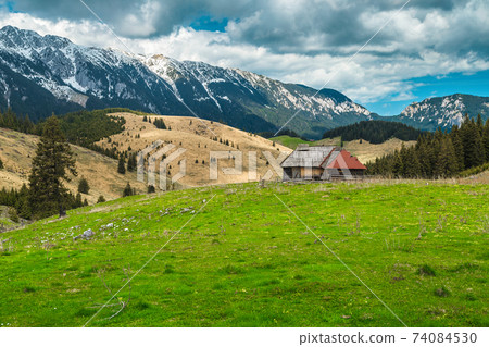 Spring pasture scenery with snowy mountains in background, Transylvania, Romania Spring pasture scenery with snowy mountains in background, Transylvania, Romania 74084530