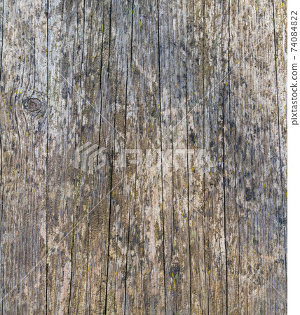 Wooden cracked surface covered with moss and lichen, vertical arrangement Wooden cracked surface covered with moss and lichen, vertical arrangement 74084822