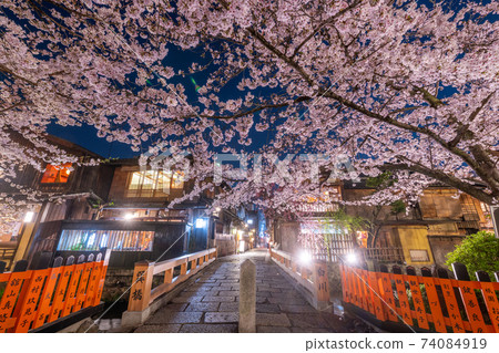 京都G園白河辰橋的櫻花 74084919