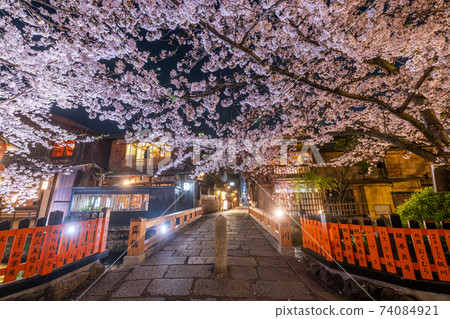 Sakura in Tatsumihashi, Gion Shirakawa, Kyoto Sakura in Tatsumihashi, Gion Shirakawa, Kyoto 74084921