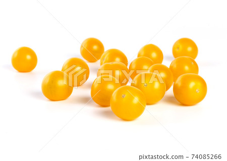 multiple yellow cherry tomatoes on a white background with shadow multiple yellow cherry tomatoes on a white background with shadow 74085266