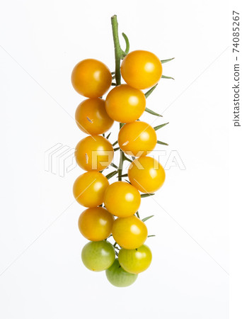 yellow cherry tomatoes on a branch on a white background. yellow cherry tomatoes on a branch on a white background. 74085267