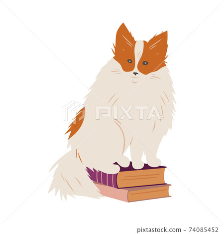 Fluffy Tabby Sitting on Pile of Books Vector Illustration Fluffy Tabby Sitting on Pile of Books Vector Illustration 74085452