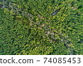 the texture of the green forest, the view from the top. Spring season, European Russia 74085453
