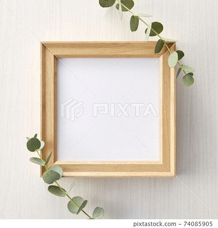 Picture frame and eucalyptus 1 74085905