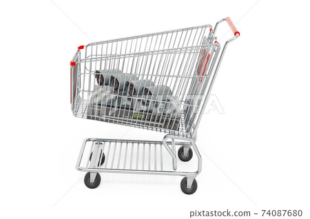 Shopping cart with system digital video recorder, 3D rendering Shopping cart with system digital video recorder, 3D rendering 74087680