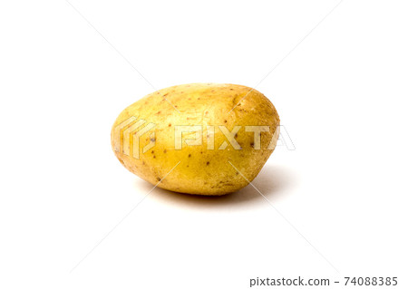 One potato on a white background close-up. One clean and raw potato on a white background closeup 74088385