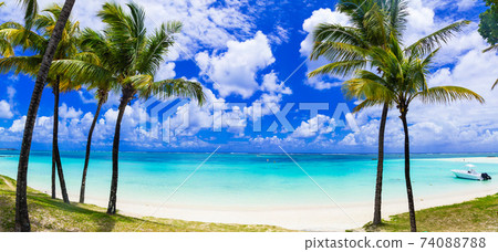 Idyllic tropical scene with palmtrees and turquoise sea. Mauritius island Idyllic tropical scene with palmtrees and turquoise sea. Mauritius island 74088788