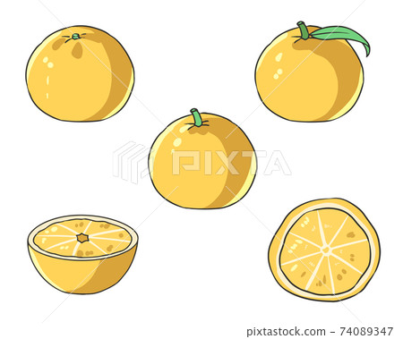 ୨୧ yuzu ୨୧ Yuzu - Stock Illustration [74089347] - PIXTA
