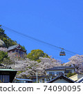 Onomichi Sakura in full bloom Senkoji Park Ropeway 74090095