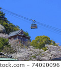 Onomichi Sakura in full bloom Senkoji Park Ropeway 74090096