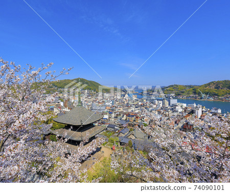 Onomichi Sakura in full bloom Tenneiji Sanjuto Onomichi Sakura in full bloom Tenneiji Sanjuto 74090101