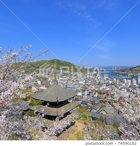 Onomichi Sakura in full bloom Tenneiji Sanjuto Onomichi Sakura in full bloom Tenneiji Sanjuto 74090102