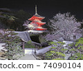 Onomichi Saikokuji night cherry blossom night view 74090104