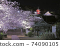Onomichi Saikokuji night cherry blossom night view 74090105