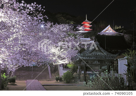 Onomichi Saikokuji night cherry blossom night view Onomichi Saikokuji night cherry blossom night view 74090105