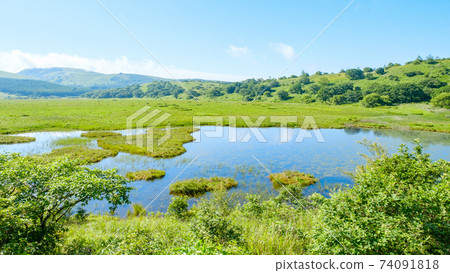 夏季八島長原濕地(八島長原濕地) 夏季八島長原濕地(八島長原濕地) 74091818