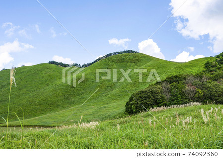 夏日索尼高地(奈良縣) 夏日索尼高地(奈良縣) 74092360