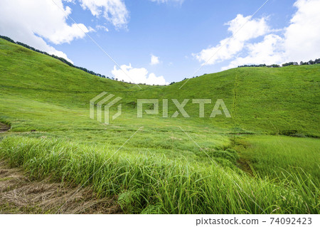 Summer Soni Highlands (Nara Prefecture) 74092423